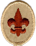 Scout.gif (14694 bytes)